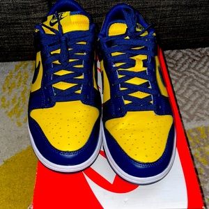Nike Michigan Dunks size 9